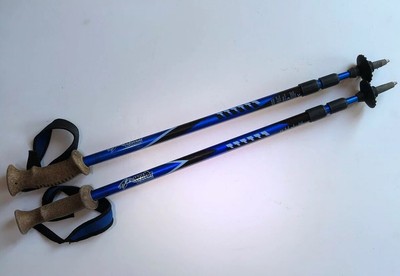 north pak trekking pole